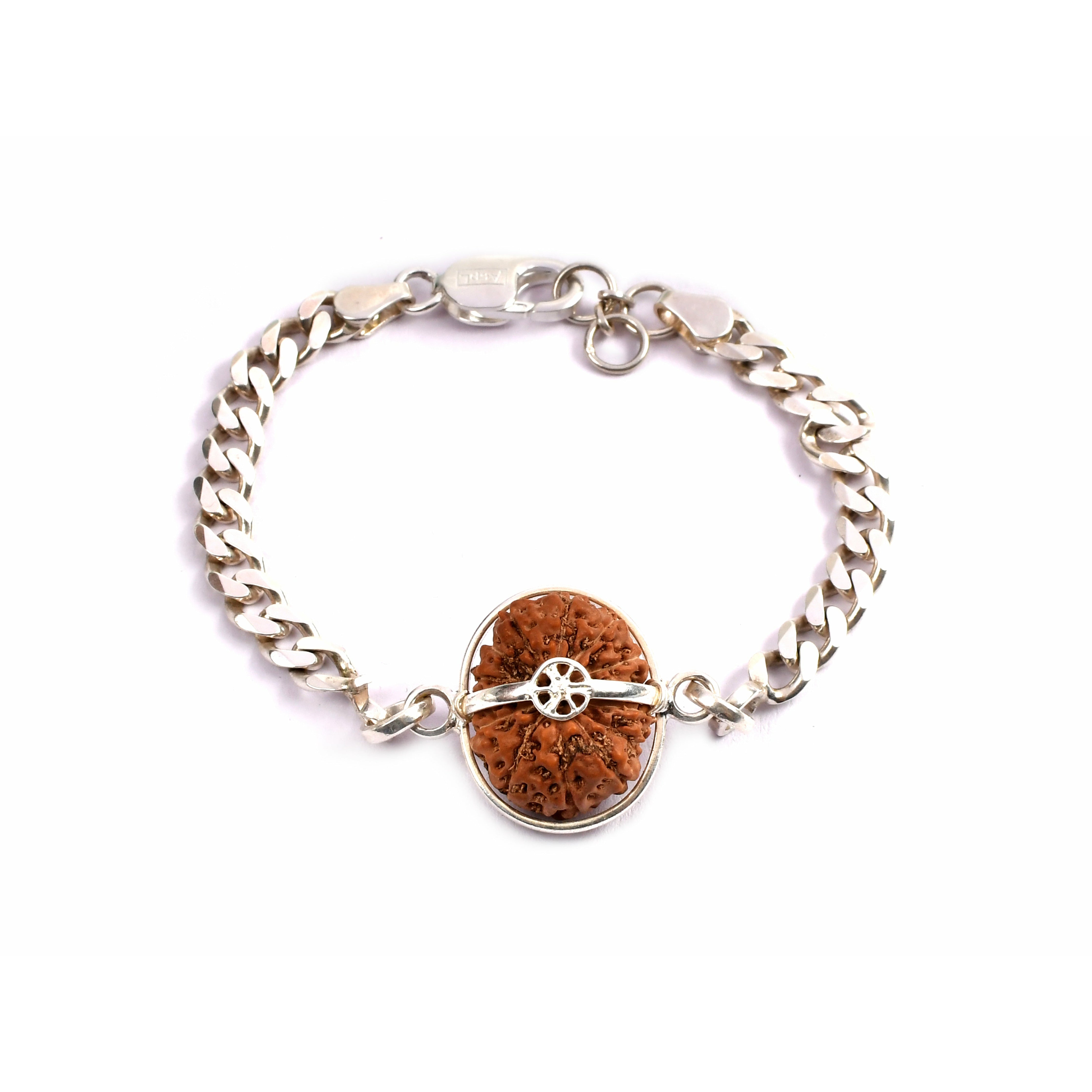 14-Augen-Rudraksha_Java